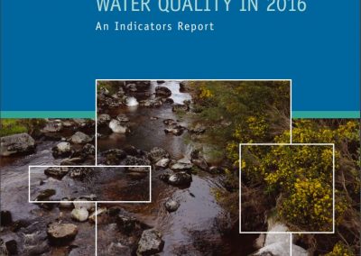 Water Quality In 2016