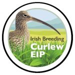 Curlew EIP Project