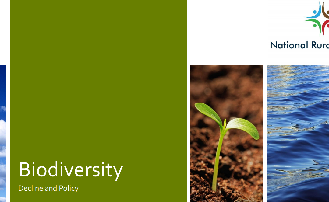 Biodiversity Decline and Policy