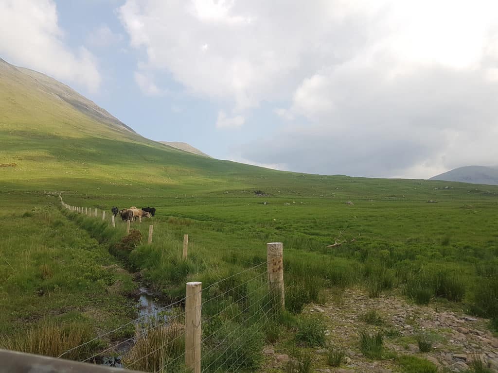An Innovative Option to Support Hill Farmers for Biodiversity Conservation in the Irish Uplands Blog (1)