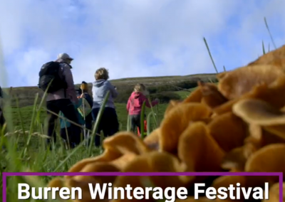 Burren Winterage School EIP-AGRI Symposium 2021 Videos