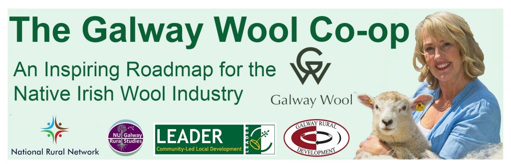 The Galway Wool Co-op – An Inspiring Roadmap for the Native Irish Wool  Industry - NRN