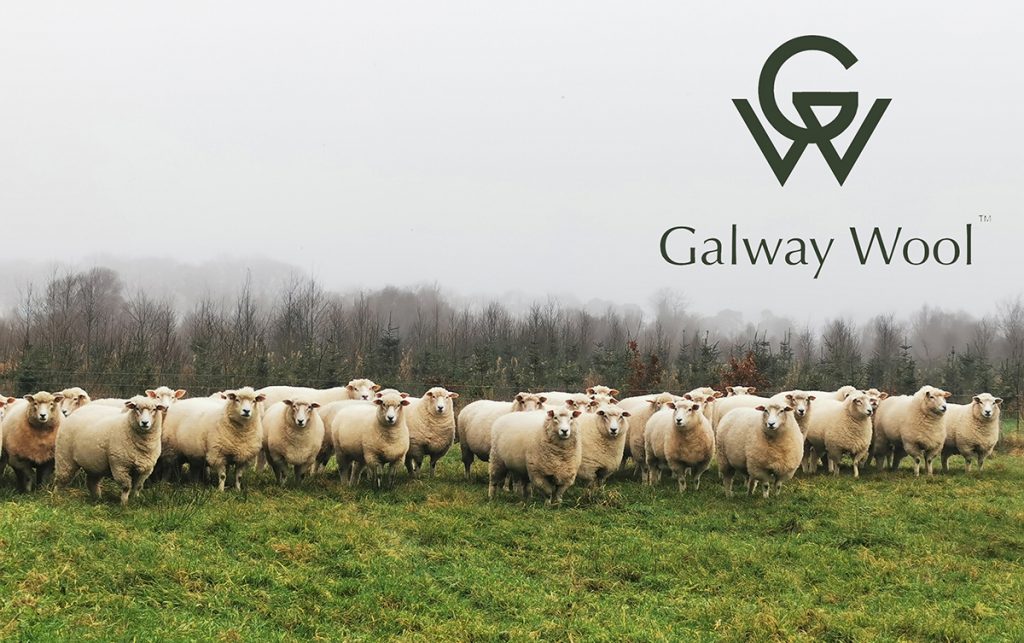 The Galway Wool Co-op - Image 4