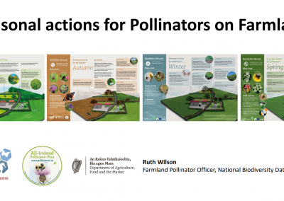 Seasonal actions for Pollinators on Farmland