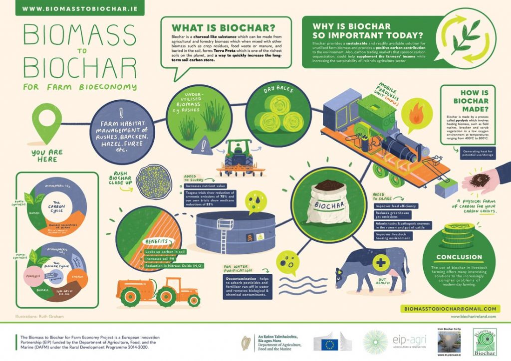 Biomass to Biochar 