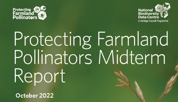 Protecting Farmland Pollinators Midterm Report