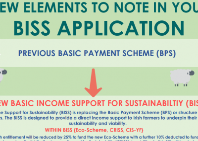A Guide to the Basic Income Support Scheme (BISS)