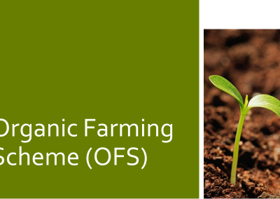 Organic Farming Scheme (OFS)