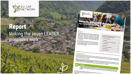 Thematic Group report on ‘Making The Seven LEADER Principles Work’ published